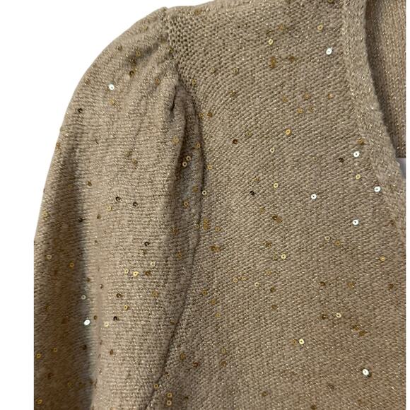 ANN TAYLOR LOFT Sequin V-Neck Sweater - Picture 7 of 12